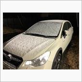 昨夜は珍しく雪   ＆ オフ ...