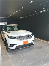 ヴェラール、いいと思います! ヴェラール、いいと思います!