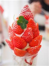 koi pafe