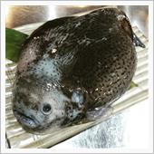 北海道民のソウルフィッシュ「 ...