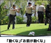 この野郎！大人しくお縄を頂戴しろ！