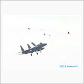 2019 January