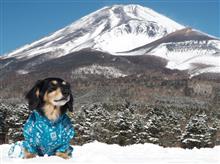富士山遊びと…ルーテシアそろそろ1年点検