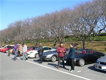 もう春デスカ？幸手さくらモーニングクルーズ