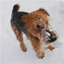 カントクの時間⑯ ハンターたる者! 雪山でビバークが出来なきゃなんねぇ!!