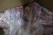希少肉入手！