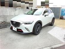 久しぶりの車ネタ