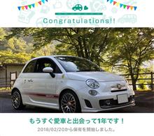 愛車と出会って1年! 愛車と出会って1年!