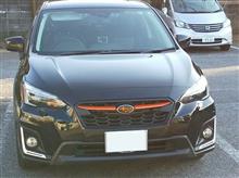 今日は、相棒の洗車
