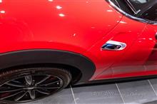 MINI12ヶ月点検となぜかサボテンたち MINI12ヶ月点検となぜかサボテンたち