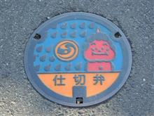 カラーマンホール　その10