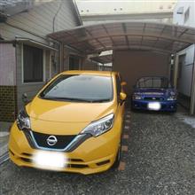 レビュー