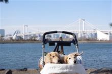 潮風公園・お台場海浜公園（品川区・港区）