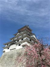 唐津・烏賊と佐賀牛の旅 唐津・烏賊と佐賀牛の旅