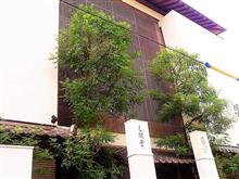 昨日は送別会でした！
