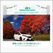 愛車と出会って1年！