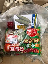 玉ねぎに追肥しました。