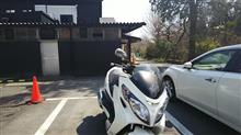 暖かいので☀️
