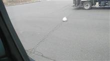 マジやめれやな 
