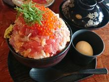 伊豆高原やら伊東やら沼津やら。 伊豆高原やら伊東やら沼津やら。