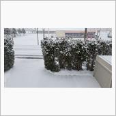 ◆予定通り出来た◆