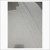 しょうがないけど、もう～いや ...