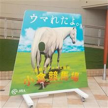 陽気が良いからか、最近ボンクラ運転手が増えて凄く辛いです（&gt;_&lt;）…