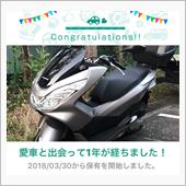 愛車と出会って1年！