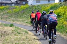 ロドスタ群馬県民会自転車部　群馬の森公園～前橋、伊勢崎 