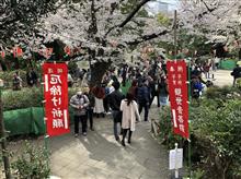 上野花見！15:00集合