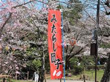 京都の桜は今週末がピークかな? オープンカーはオープンな季節ではないかと思うこの頃 京都の桜は今週末がピークかな? オープンカーはオープンな季節ではないかと思うこの頃