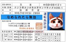 平成最後の運転免許証更新？