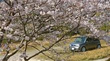 みんカラ投稿企画！愛車と桜！