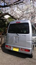 やっと復活！！