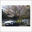 みんカラ投稿企画！愛車と桜！
