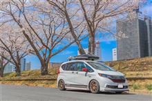 みんカラ投稿企画！愛車と桜！