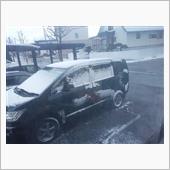 また、また、雪・・・！