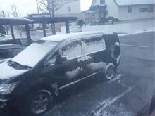 また、また、雪・・・！