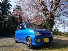 みんカラ投稿企画！愛車と桜！