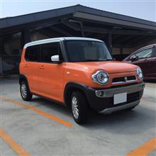 久々に洗えました