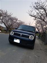 みんカラ投稿企画！愛車と桜！