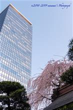 西新宿 成子の常圓寺 西新宿 成子の常圓寺