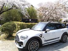 みんカラ投稿企画！愛車と桜！