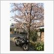 朝のお散歩バイク🏍
