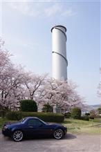 みんカラ投稿企画！愛車と桜！