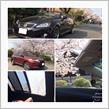 みんカラ投稿企画！愛車と桜！