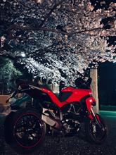 さくらに🌸未練あり😅