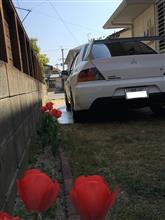 福岡クラシックカーミーティング2019