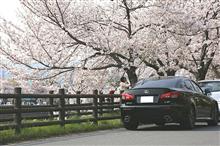モロお約束ですが．．．