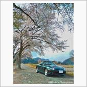 みんカラ投稿企画！愛車と桜！ ...